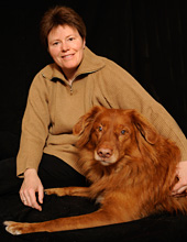 Hundeprobleme